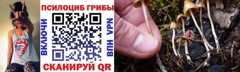 Галлюциногенные грибы Cubensis  Шатура 